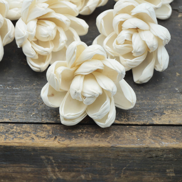 Blossom Flower  - set of 12- multiple sizes available - - sola wood flowers wholesale