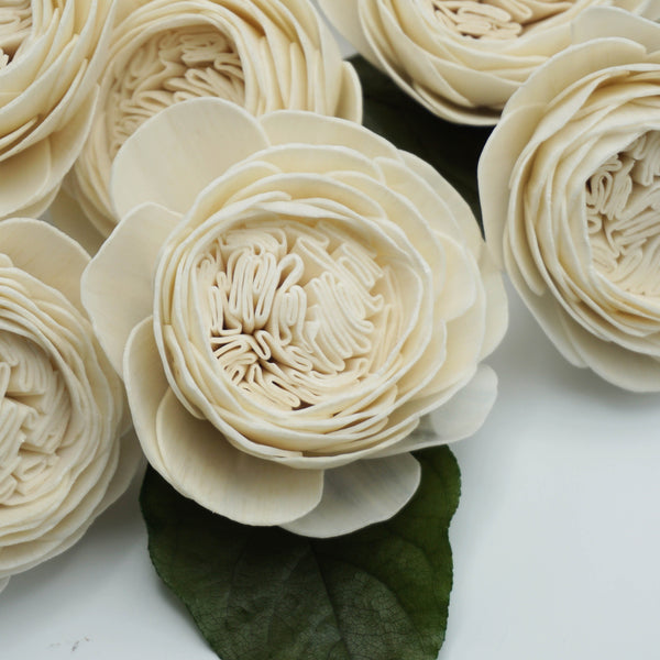 Cabbage Rose  - set of 12- multiple sizes available - - sola wood flowers wholesale
