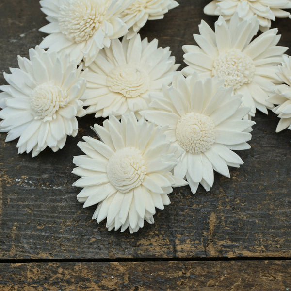 Daisy- 1.5" sold by the dozen - sola wood flowers wholesale