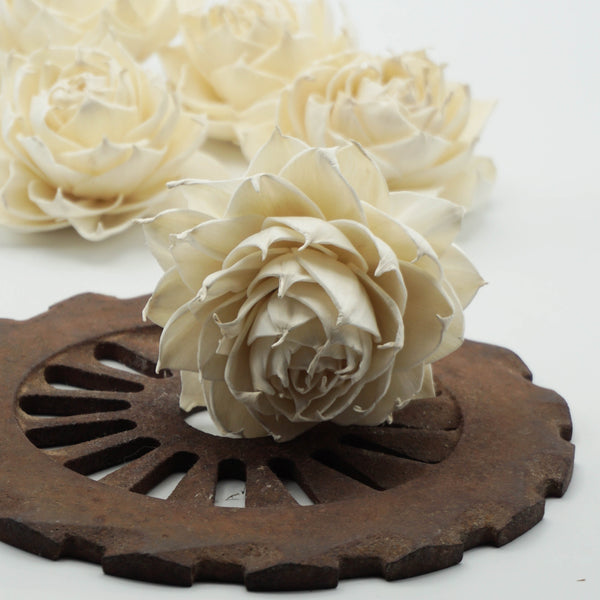 Garden Rose - set of 12- multiple sizes available - - sola wood flowers wholesale