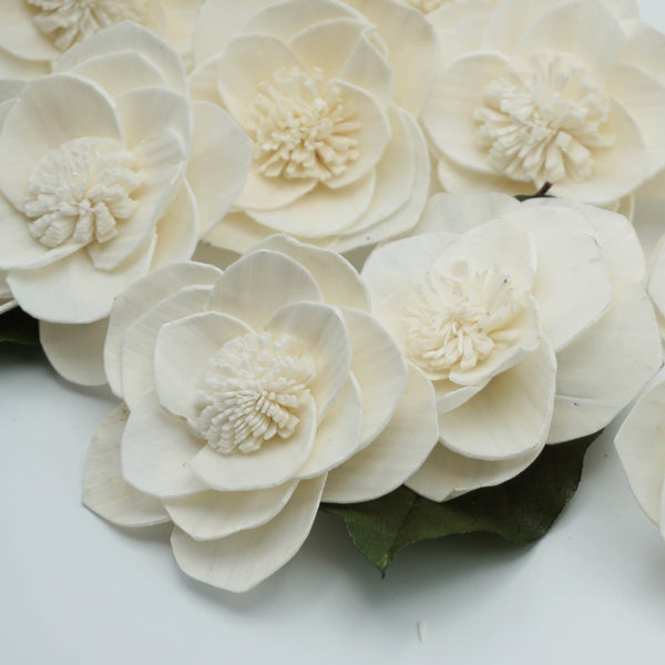 Grace Flower -Multiple Sizes - sola wood flowers wholesale