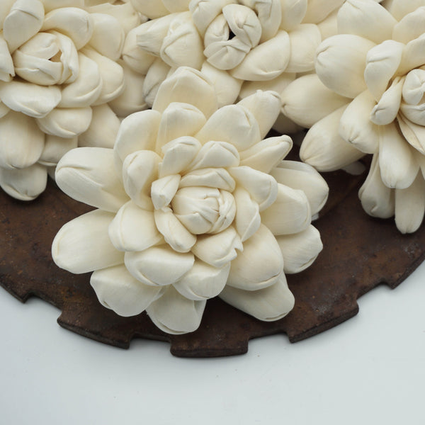 Halo Flower  - set of 12- multiple sizes available - - sola wood flowers wholesale