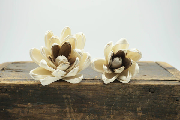 Hazel Flower  - set of 12- multiple sizes available - - sola wood flowers wholesale