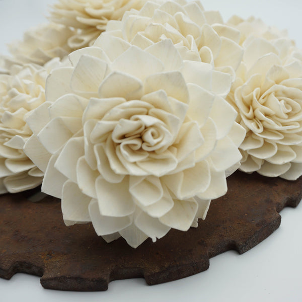 Miss Ivy  - set of 12 - multiple sizes available - - sola wood flowers wholesale