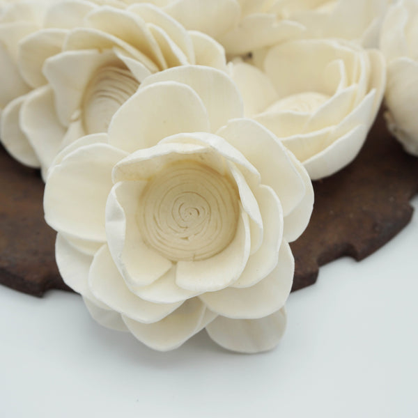 Poppy - set of 12 - multiple sizes available - - sola wood flowers wholesale