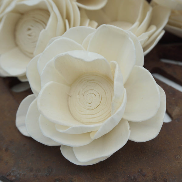 Poppy - set of 12 - multiple sizes available - - sola wood flowers wholesale