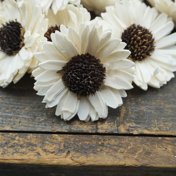 Sunflower - set of 12 - multiple sizes available - - sola wood flowers wholesale
