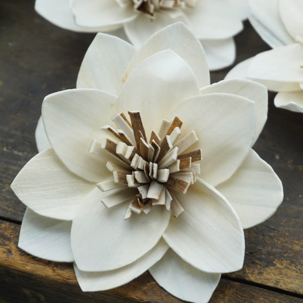 Twinkle - set of 12 - multiple sizes available - - sola wood flowers wholesale