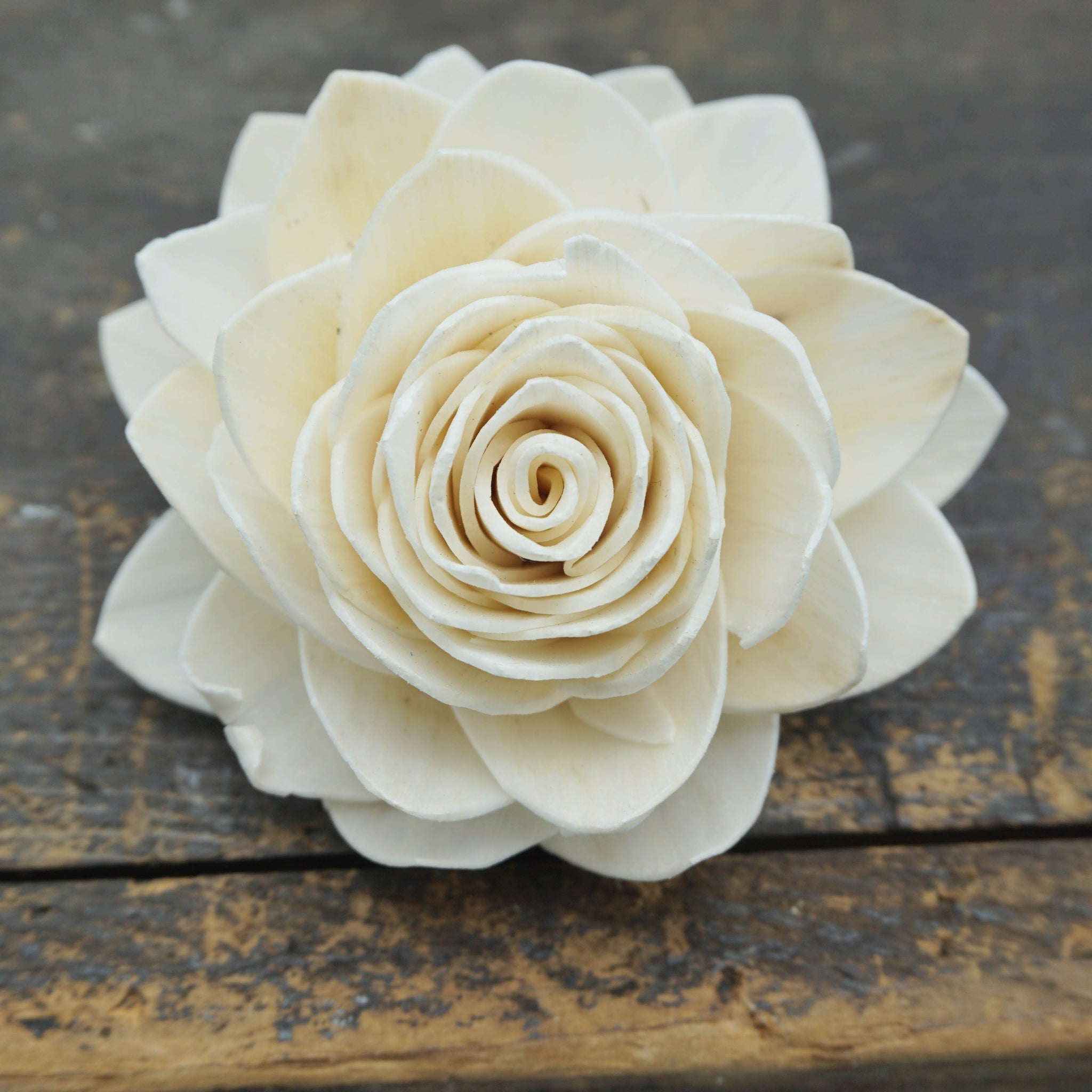 Waterlily - set of 12- multiple sizes available - - sola wood flowers wholesale