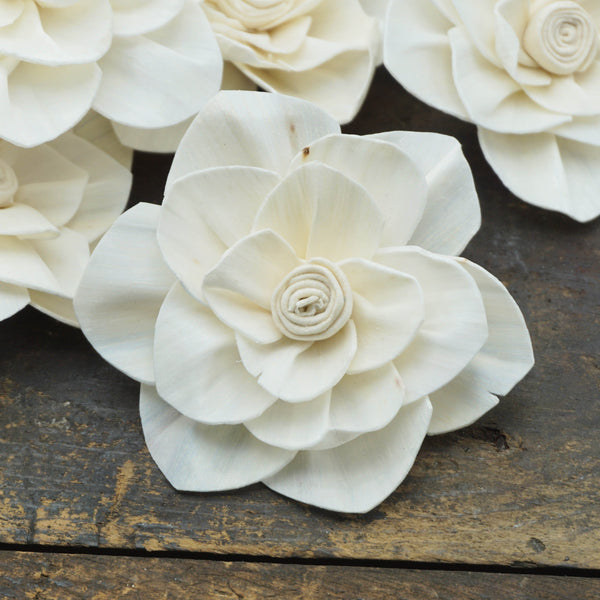 Whirl flower - set of 12- multiple sizes available - - sola wood flowers wholesale