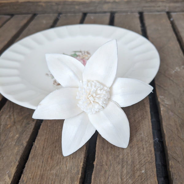 Star Lily - set of 12 - 2.5 inches - sola wood flowers wholesale