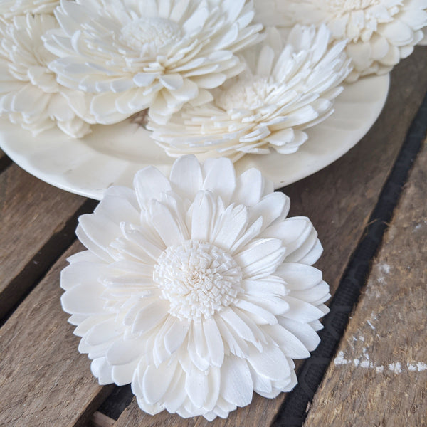 Wild Double Daisy™  set of 12-  2.5 inches _sola_wood_flowers