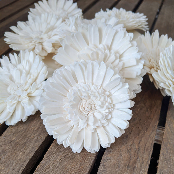 Wild Double Daisy™  set of 12-  2.5 inches _sola_wood_flowers